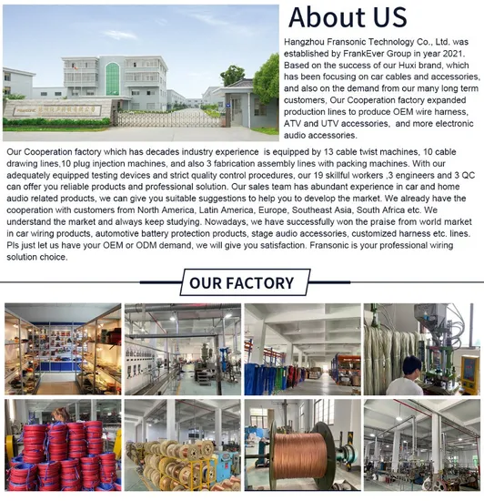 16A WiFi Plug EU Work with Google Home WiFi Smart Plug