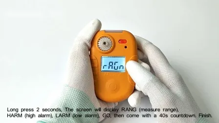 High Brightness LCD Display Fixed Gas Detector with Built-in Lithium Battery