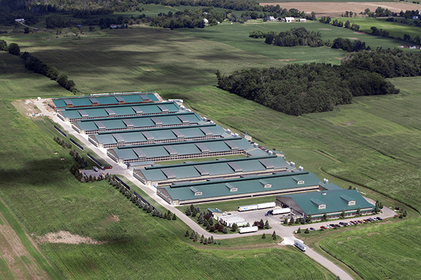 Jiangxi Smart Home Inc.